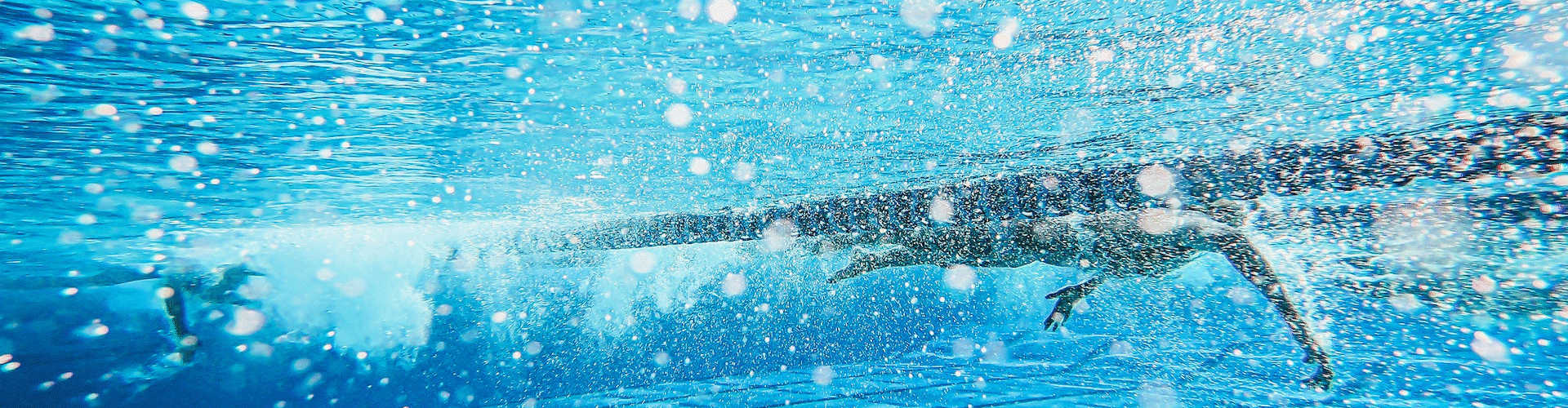 Piranha Vízisport Egyesület slide